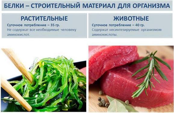 Dinh dưỡng để tăng cơ cho phụ nữ. Thực đơn cho các ngày trong tuần, các sản phẩm trong dinh dưỡng thể thao