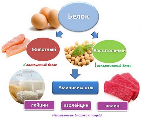 Dinh dưỡng để tăng cơ cho phụ nữ. Thực đơn các ngày trong tuần, các sản phẩm trong dinh dưỡng thể thao
