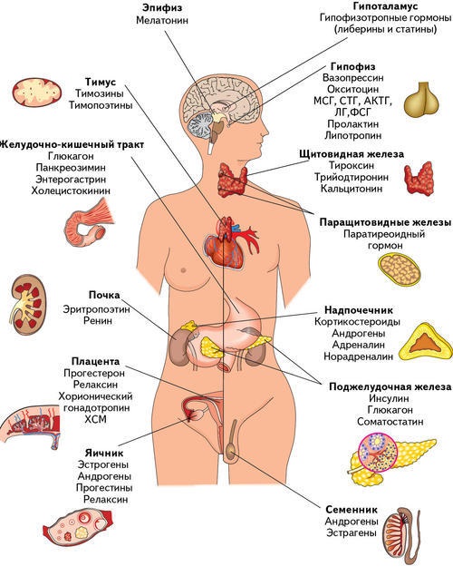 Професионална козметика за умотавање тела за мршављење код куће