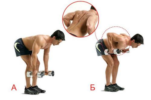 Latihan dengan dumbbell di bahu di rumah untuk lelaki dan wanita