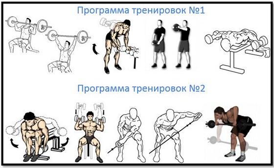 Latihan dengan dumbbell di bahu di rumah untuk lelaki dan wanita