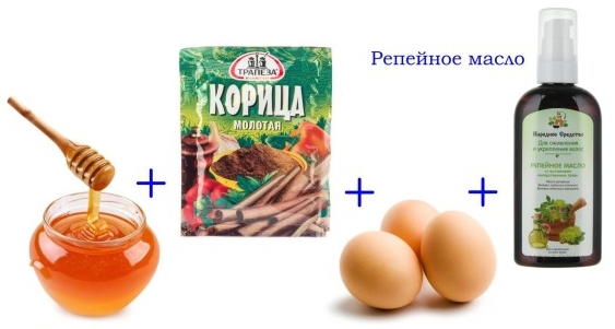 Маске за косу са чичковим уљем. Рецепти, правила за употребу против губитка косе и за раст