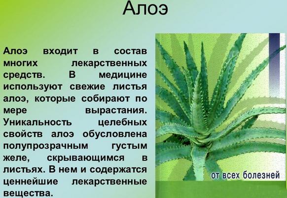 Разлози због којих се усне суше код жена, мушкараца. Како лечити прехладу, САРС, менопаузу, дијабетес, онкологију, током трудноће