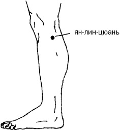 Các điểm hoạt động sinh học trên cơ thể người chịu trách nhiệm về các cơ quan. Kỹ thuật xoa bóp châm cứu