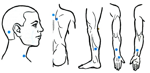 Các điểm hoạt động sinh học trên cơ thể người chịu trách nhiệm về các cơ quan. Kỹ thuật xoa bóp châm cứu