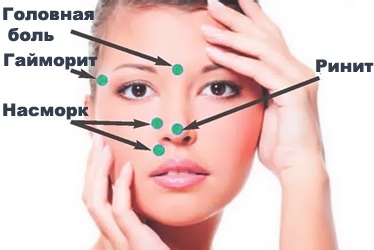 Các điểm hoạt động sinh học trên cơ thể người chịu trách nhiệm về các cơ quan. Kỹ thuật xoa bóp châm cứu