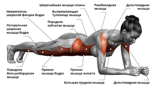 Latihan untuk otot dada untuk kanak-kanak perempuan di gimnasium, di rumah, untuk memompa, untuk mengencangkan, pertumbuhan. Video