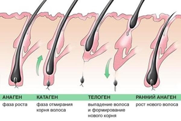 Како зауставити губитак косе код жена. Узроци након порођаја, дојења, после 40. Витамини, дијета, кућно лечење