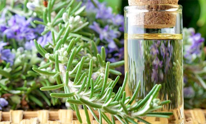 Tinh dầu tràm trà, đặc tính. Ứng dụng cho tóc, răng, mặt. Với tưa miệng, nấm móng tay, mụn trứng cá, mụn cóc, u nhú, bên trong