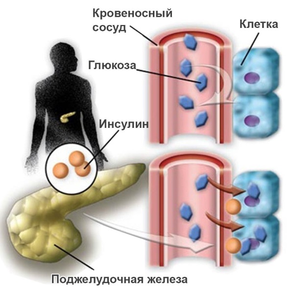 Enzyme lột: nó là gì, có lợi cho da mặt: salicylic, có tính axit. Cách chọn những đánh giá tốt nhất