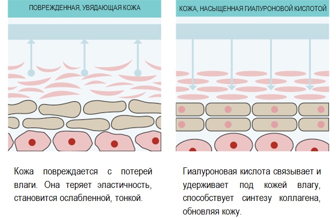 Gialripayer mesolift 02, 04, 06, 07, 08. Thành phần bioreparant, giá cả, đánh giá của bệnh nhân, chuyên gia thẩm mỹ