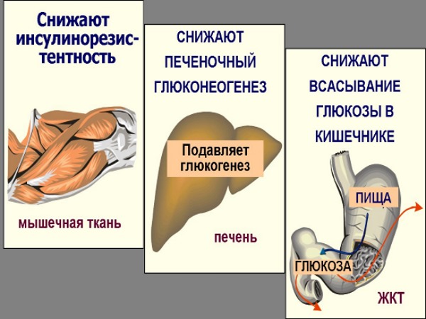 Глукофаг. Упутства за употребу, режим мршављења, цена, прегледи, аналоги