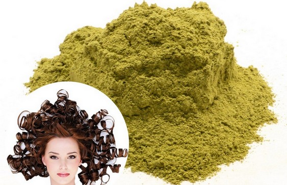 Cây lá móng không màu cho tóc: lợi ích và tác hại, phương pháp áp dụng, mặt nạ tăng cường và điều trị. Nhận xét