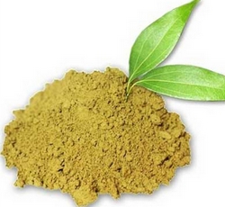 Cây lá móng không màu cho tóc: lợi ích và tác hại, phương pháp áp dụng, mặt nạ tăng cường và điều trị. Nhận xét