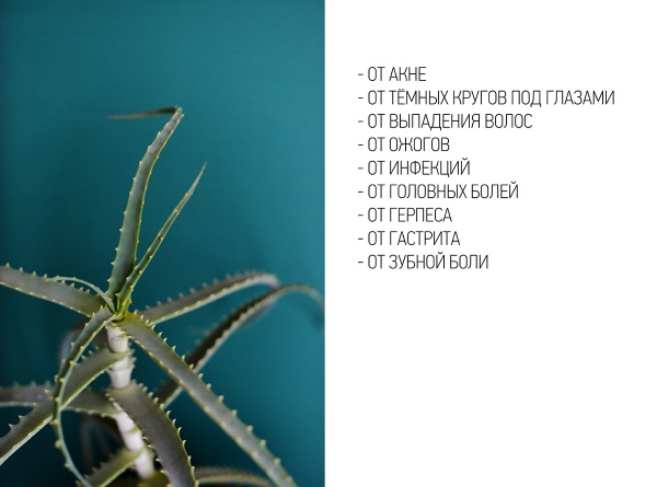 Како се отарасити стрија, уклонити на грудима, стомаку, задњици, телу, ногама, куковима након порођаја, током трудноће. Креме, уље, мумија, ласерско уклањање