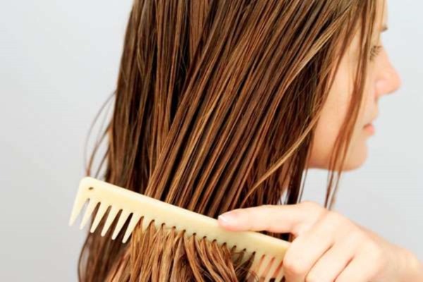 لحاء البلوط للشعر. الفوائد وكيفية استخدامها للشطف من الفقد والتلطيخ. المراجعات