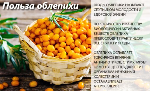 Уље морске бучке за косу и трепавице. Предности, лековита својства, рецепти за употребу у козметологији