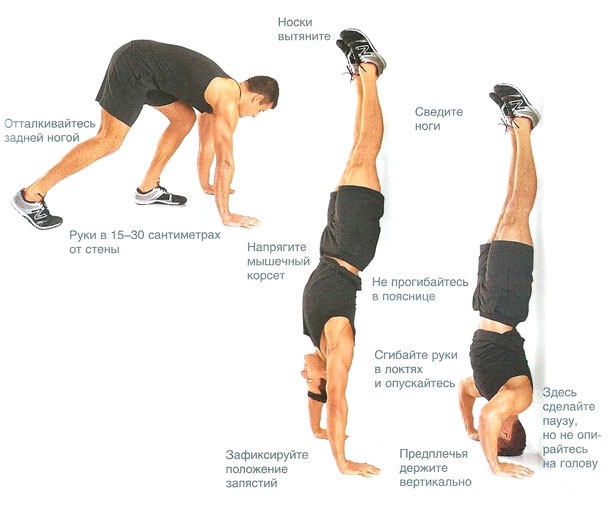 Push-up dari lantai: otot apa yang diayunkan pada lelaki, wanita. Teknik pelaksanaan, program untuk pemula, jenis push-up