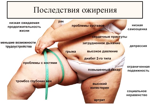 المعيار اليومي للسعرات الحرارية و BJU يوميًا للمرأة والرجل والمراهق والمرأة الحامل. معدل لفقدان الوزن وبناء العضلات