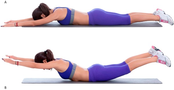 Bài tập tạ dưới cho nữ tại nhà, tập gym với con lăn, bánh xe, trên xà ngang, tĩnh