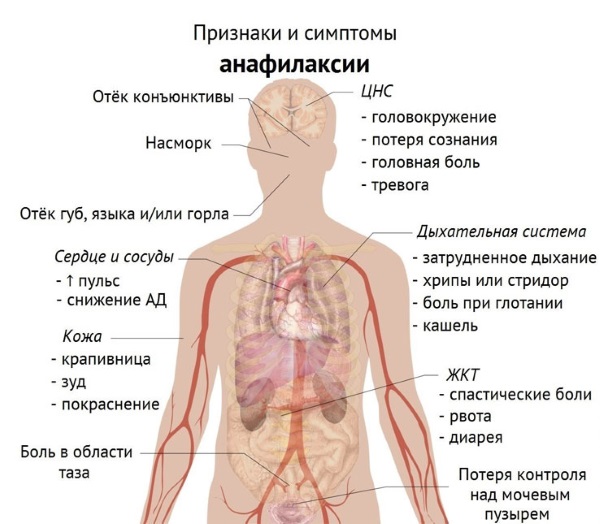 Aertal. Hướng dẫn sử dụng, thành phần, chỉ định và chống chỉ định. Giá cả, đánh giá, tương tự
