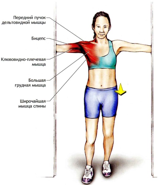 Body sculpt - apa itu kecergasan, program, simulator rumah, kelas penurunan berat badan, latihan, hasil