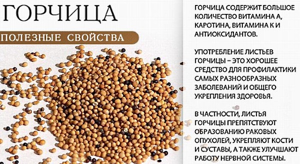 Mặt nạ mù tạt giúp mọc tóc, chắc khỏe, chống rụng tóc. Công thức, quy tắc áp dụng. Nhận xét