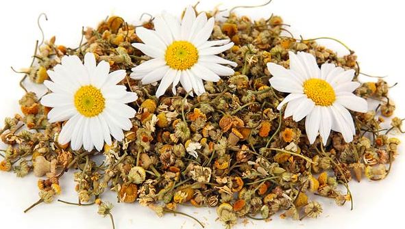 Cara meringankan rambut di tangan anda dengan peroksida, tanpa cat, lemon, kayu manis, chamomile, kefir, soda, ubat-ubatan rakyat