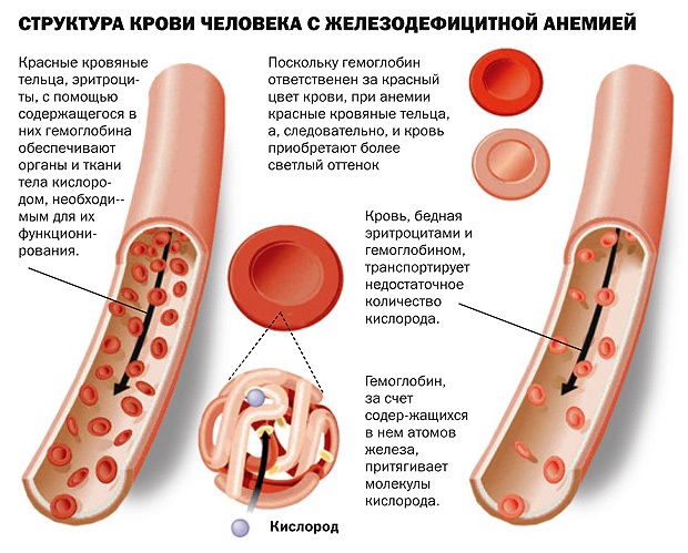Келп. Корисна својства, састав, упутства за употребу алги. Рецепти за маске за лице, мршављење, облози, стимулација рада