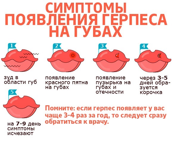 Уље целандина. Особине и примена код кожних и гљивичних болести, у козметологији, гинекологији