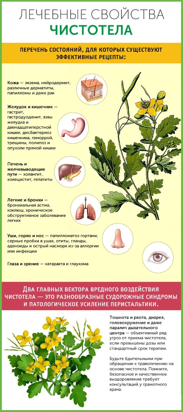 Уље целандина. Особине и примена код кожних и гљивичних болести, у козметологији, гинекологији