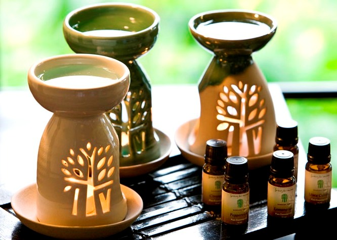 Tinh dầu phong lữ. Tính chất, lợi ích và ứng dụng trong thẩm mỹ và y học dân gian. Cách làm bơ tại nhà