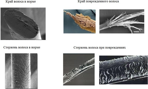 Издвајамо на црној коси. Фотографија: бела, црвенкаста, боја. Како направити кратко, дуго, средње дужине, обојено