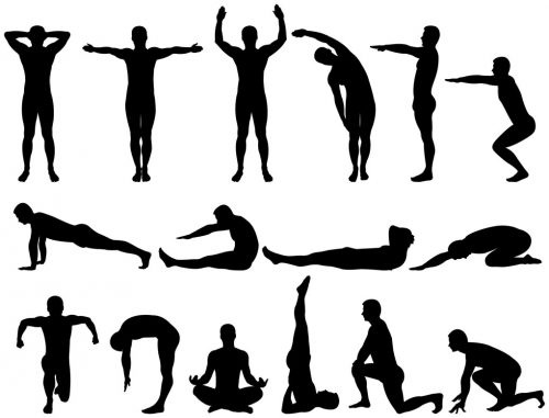 Otot belakang: senaman untuk menguatkan di rumah, di gim, dengan osteochondrosis, scoliosis