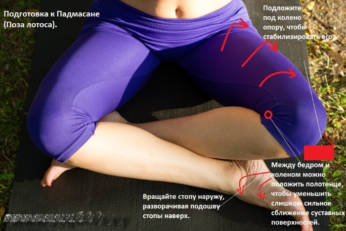 Otot belakang: senaman untuk menguatkan di rumah, di gim, dengan osteochondrosis, scoliosis