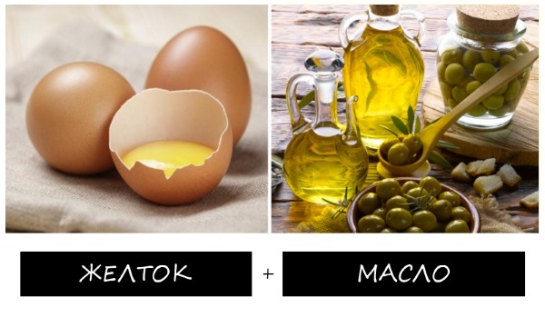 Azeite anti-rugas para o rosto. Quem é adequado, benefícios e malefícios, recursos do aplicativo. Receitas para máscaras, compressas, cremes, loções, esfoliantes