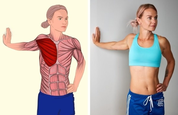 Kéo giãn cho người mới bắt đầu. Các bài tập cho các bộ phận khác nhau của cơ thể, thiết bị thể dục, yoga, âm nhạc và tâm trạng
