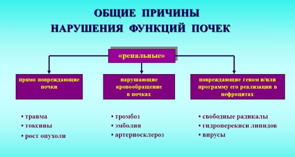 Стелланин маст. Упутства за употребу, ефикасност, прегледи, аналоги