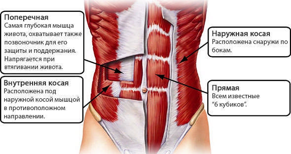 Máy hút bụng. Cách tập đúng bài, kỹ thuật giảm cân, bơm căng, hóp bụng sau sinh