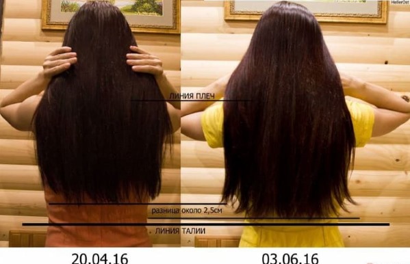 Dầu Amla cho tóc - lợi ích, công thức sử dụng, ai phù hợp, cách sử dụng