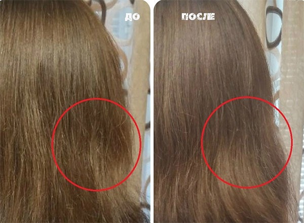 Dầu Amla cho tóc - lợi ích, công thức sử dụng, ai phù hợp, cách sử dụng
