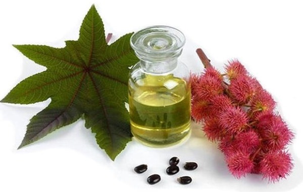 Dầu argan cho tóc. Thuộc tính, cách sử dụng, sản phẩm chuyên nghiệp: Londa, Kapus, Hair important, Tahe Keratin Gold