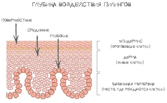 Шта је хидрохинон, примена у козметологији: креме за бељење, пилинг, маст, таблете. Ахроактивни максимум, прегледи