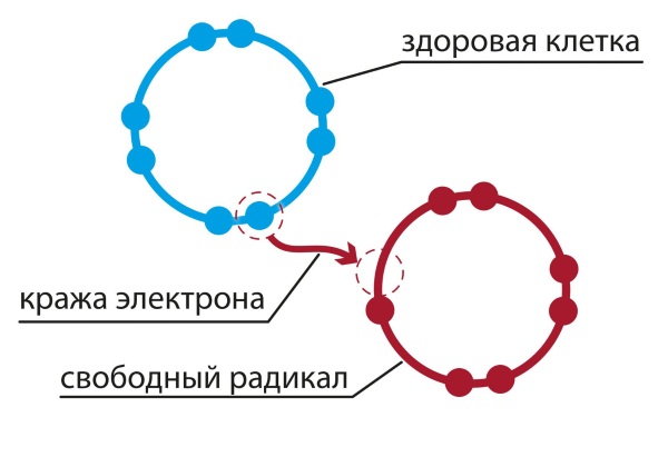 Глутатион - шта је то, користи за тело. Упутства за употребу у козметологији, прегледи лекара