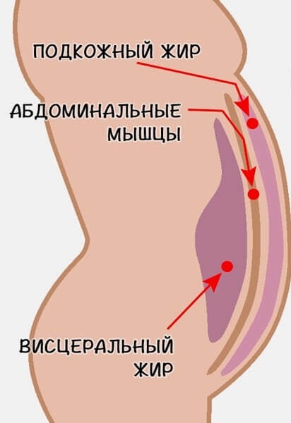 Како се брзо отарасити масти на стомаку, за недељу, месец дана, код куће. Горњи, доњи, бочни, струк: вежба