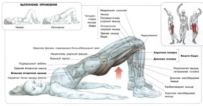 Cách bơm mông tại nhà cho bạn gái: bài tập, squat, lunges, workout