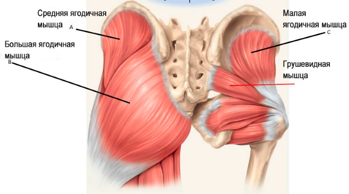 Cách bơm mông tại nhà cho bạn gái: bài tập, squat, lunges, workout