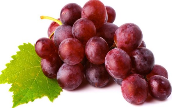Máscaras de mãos para pele seca, envelhecida, hidratante, nutritiva e anti-envelhecimento. Receitas caseiras eficazes