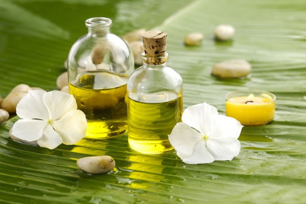 Dầu dùng cho mặt chống lại nếp nhăn, đặc tính của chúng: ô liu, hạt lanh, tầm xuân, thầu dầu, đào, long não, hạt mỡ, hạnh nhân, mơ, hắc mai biển, jojoba
