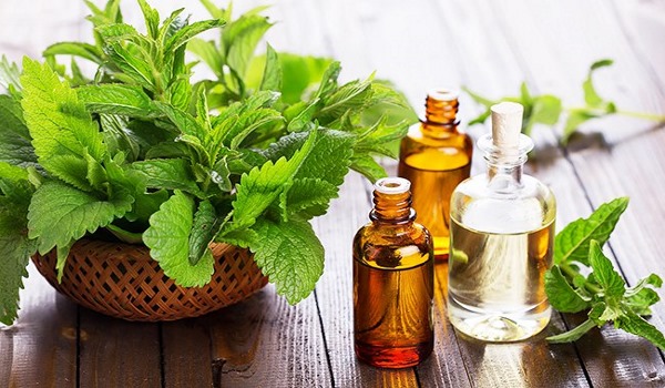 Dầu bôi mặt chống lại nếp nhăn, đặc tính của chúng: ô liu, hạt lanh, tầm xuân, thầu dầu, đào, long não, hạt mỡ, hạnh nhân, mơ, hắc mai biển, jojoba